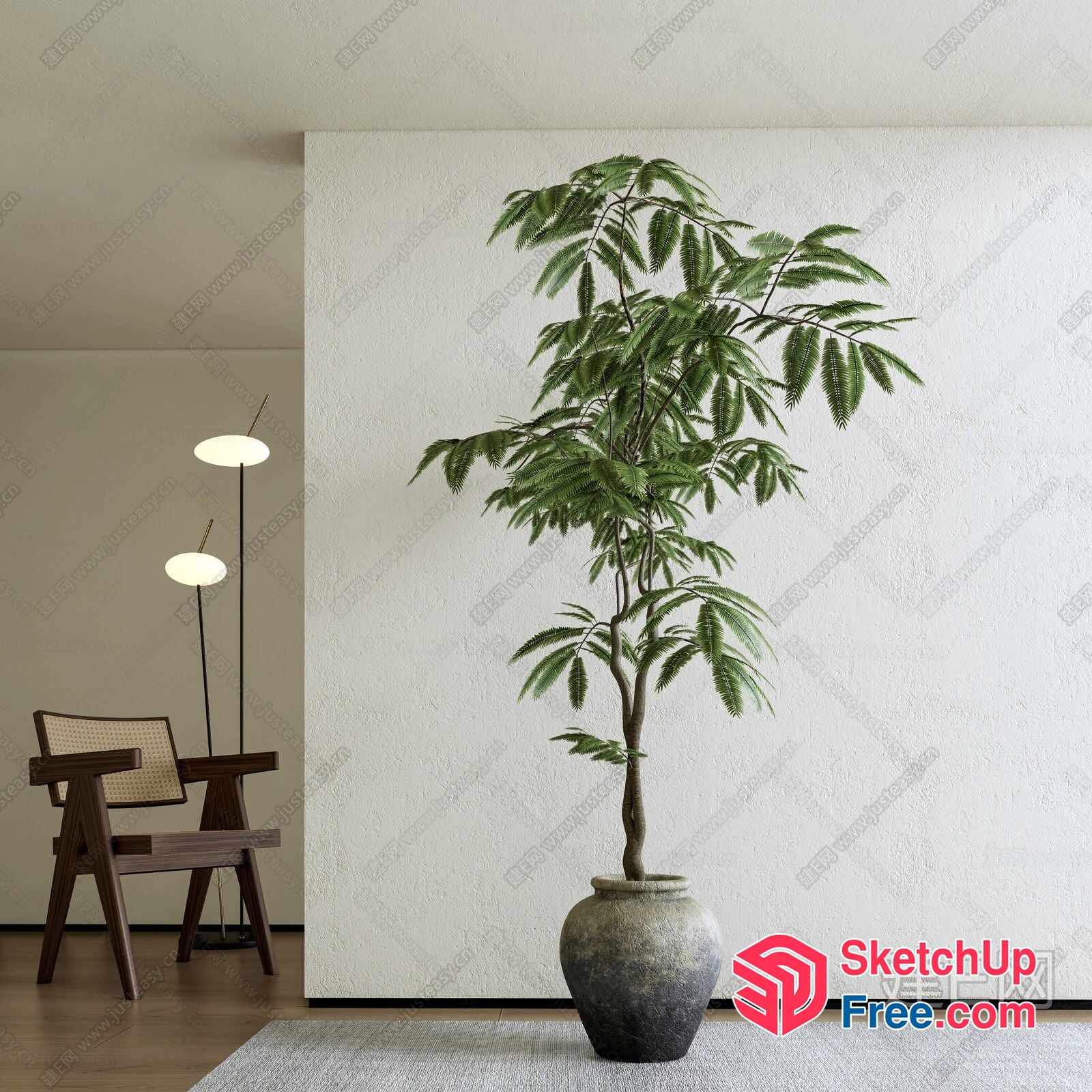 Minimalist Japanese Style Living Room With A Potted Tree 3D SketchUp File