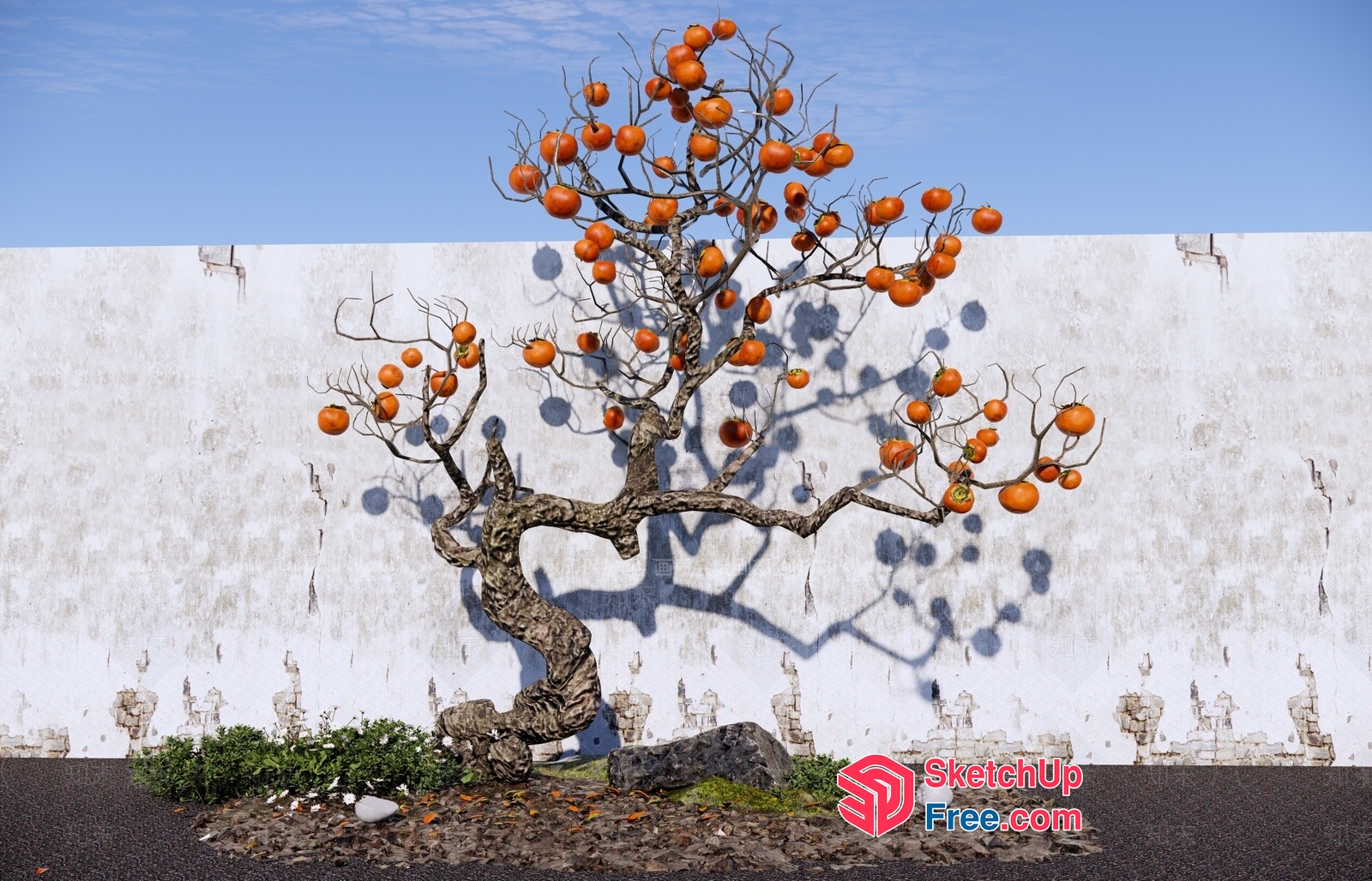 Elegant Japanese-Style Orange Tree In Front Of A Weathered Wall 3D SketchUp File