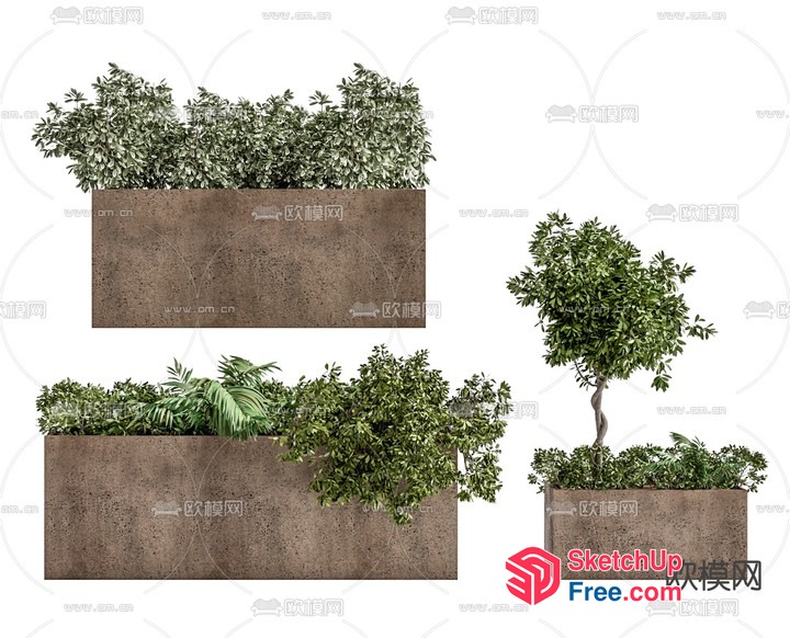 A Collection Of Potted Plants In Various Rectangular Containers 3D SketchUp File