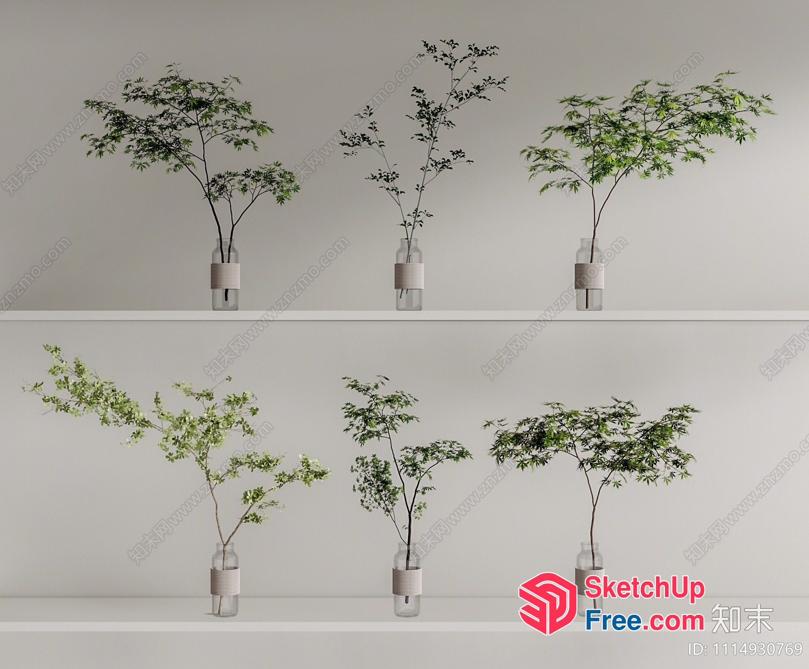 Six Potted Plants On White Shelves 3D SketchUp File