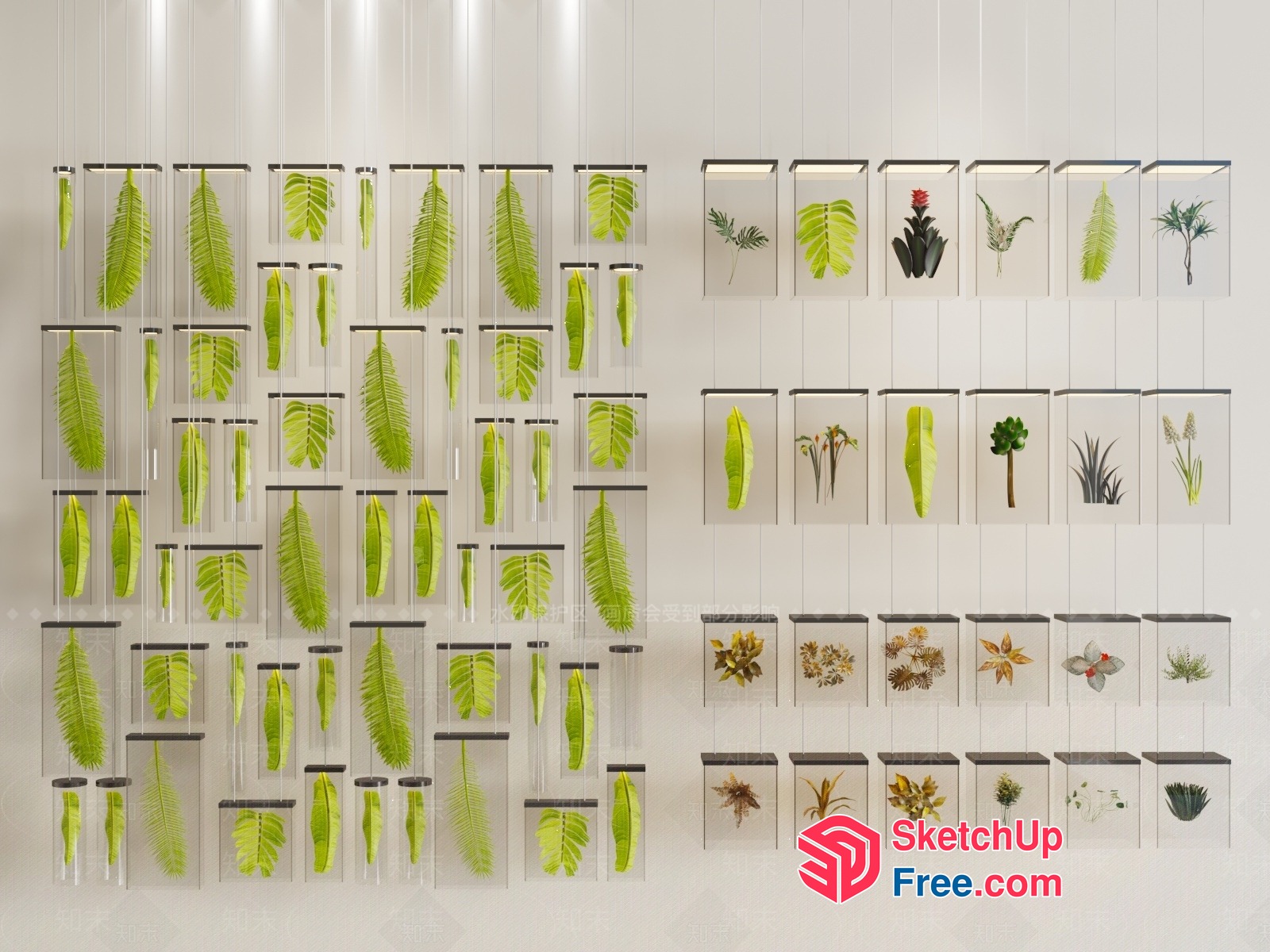 Tropical Greenery Display 3D SketchUp File