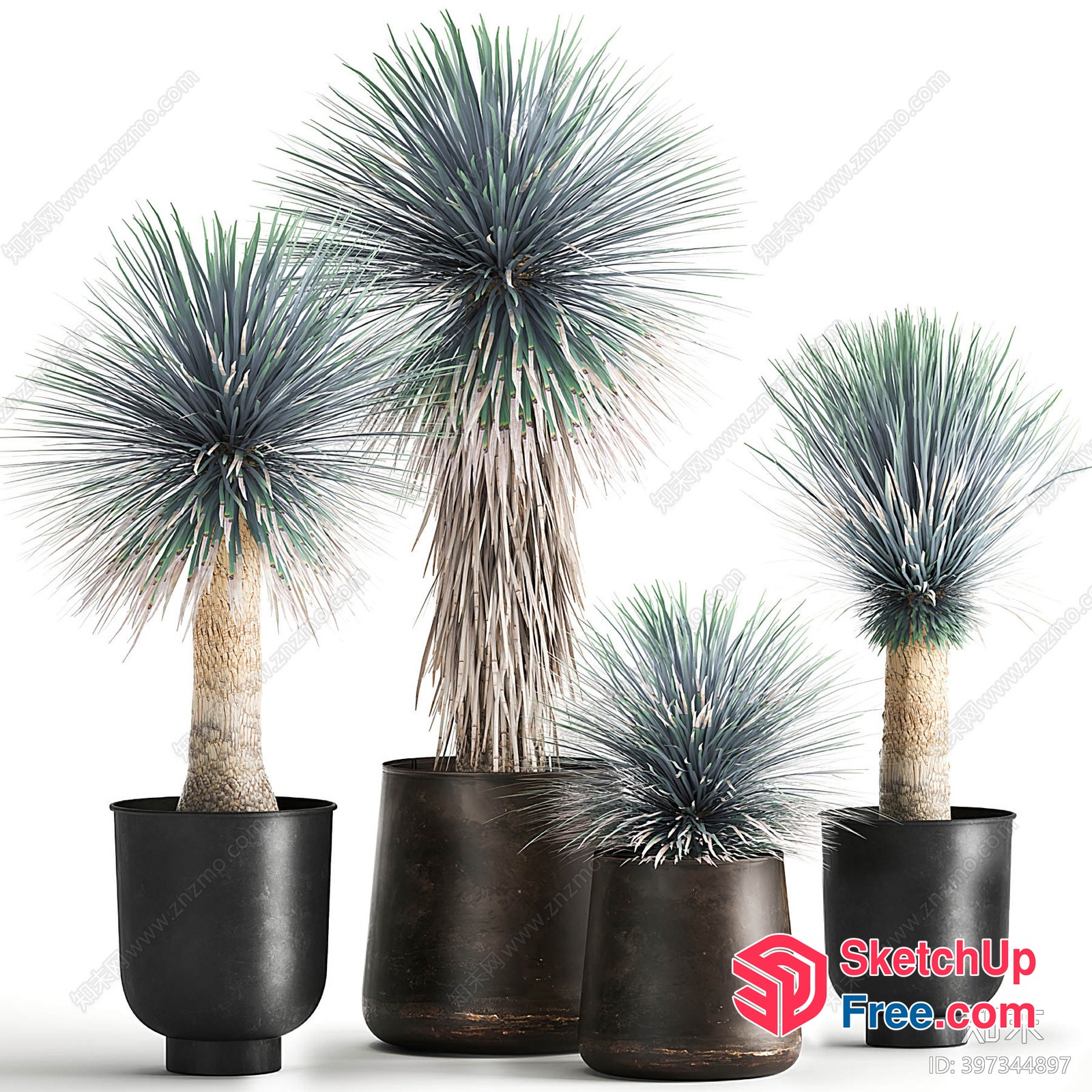 Three Potted Plants With Unique Spiky Leaves 3D SketchUp File