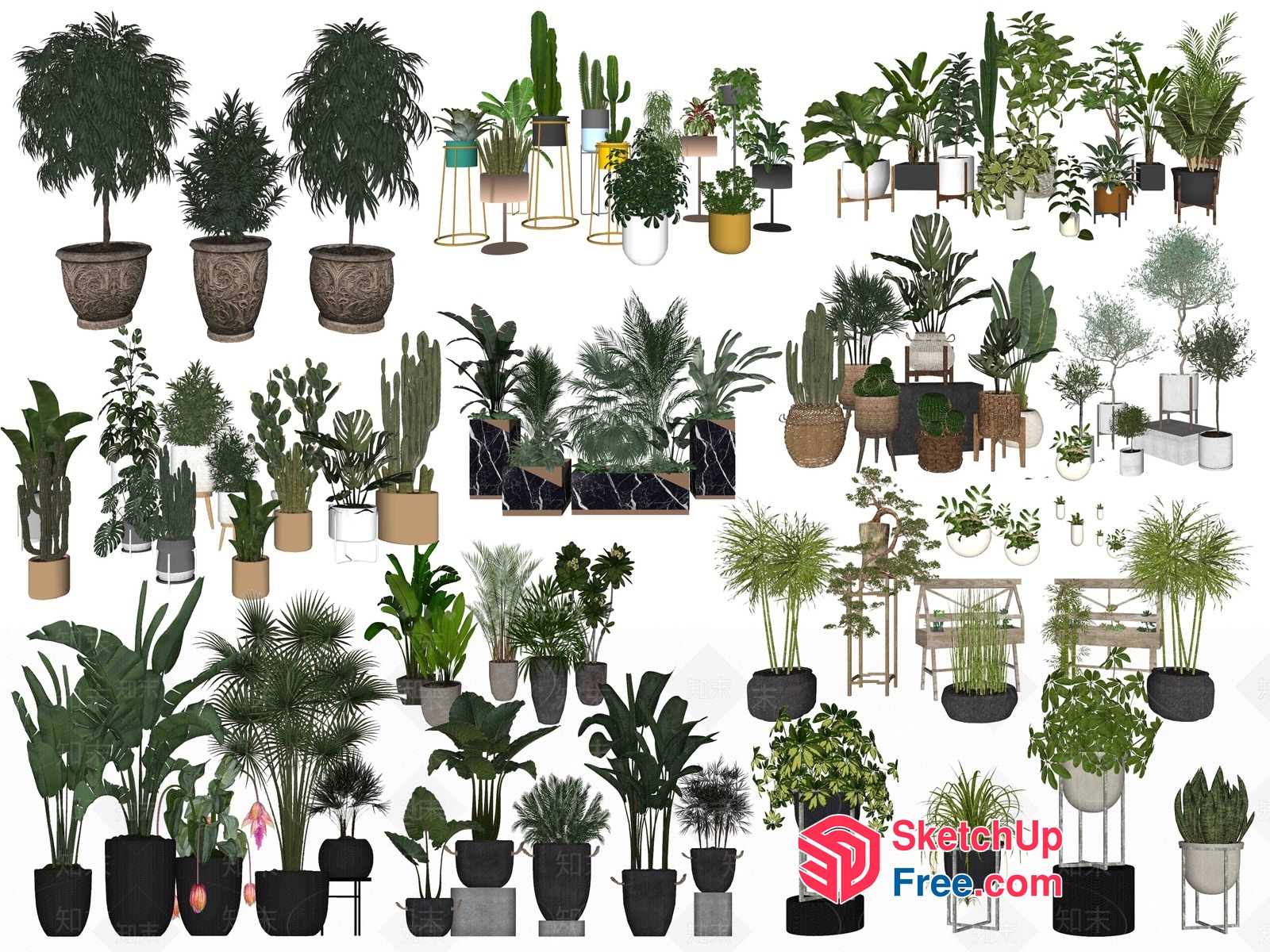 Potted Plants And Trees 3D SketchUp File