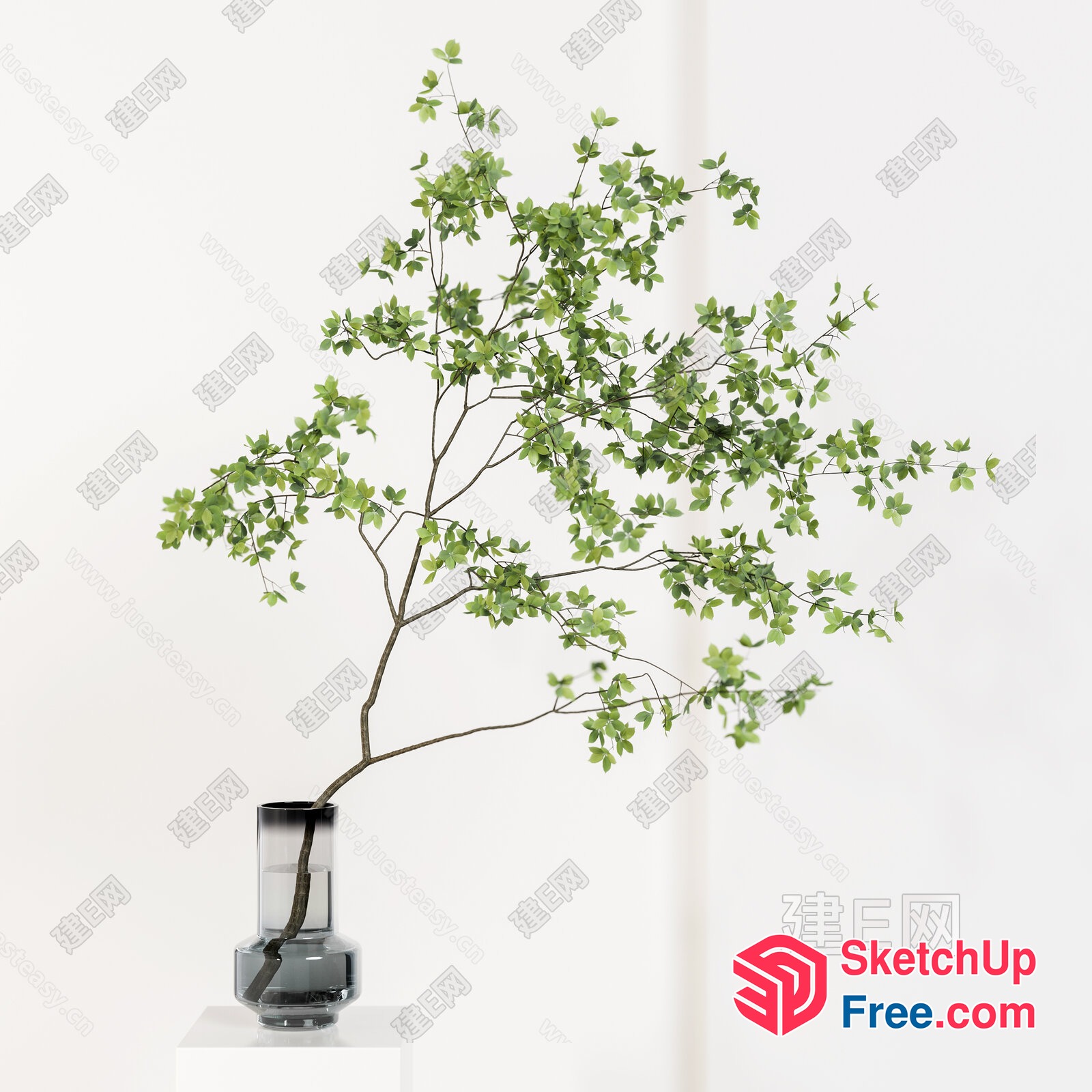 Green Plant In A Glass Vase 3D SketchUp File