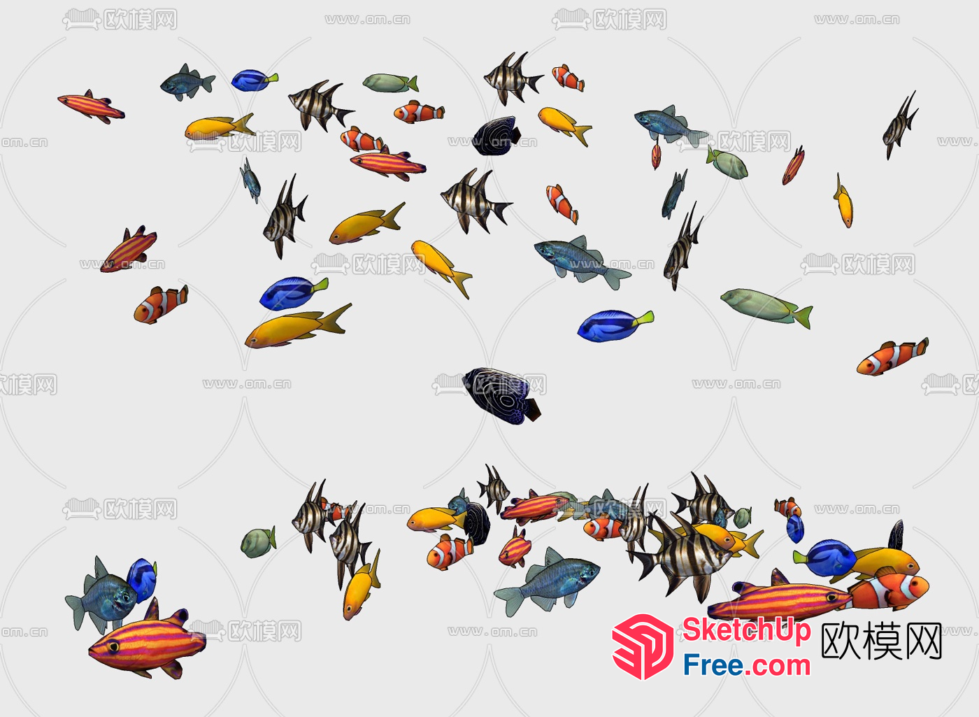 Colorful Fish Swimming In Water 3D SketchUp File