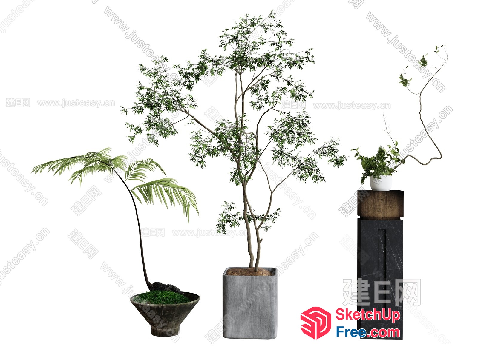Decorative Plants In Pots 3D SketchUp File