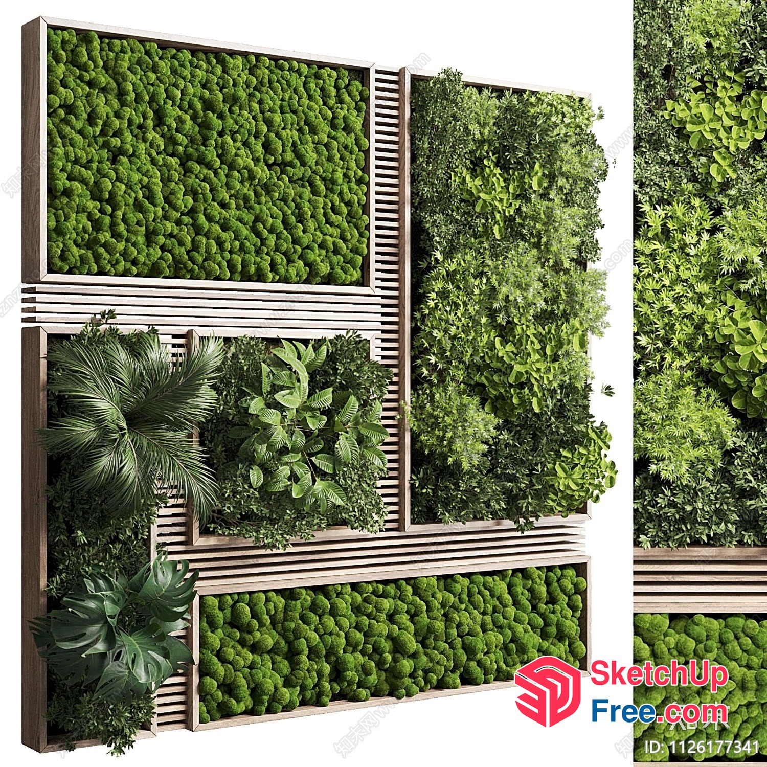 Green Wall With Various Plants And Moss 3D SketchUp File