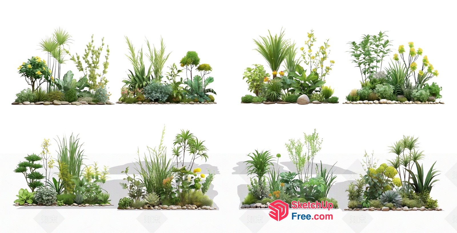 Tropical Garden Scene With Varied Green Plants 3D SketchUp File