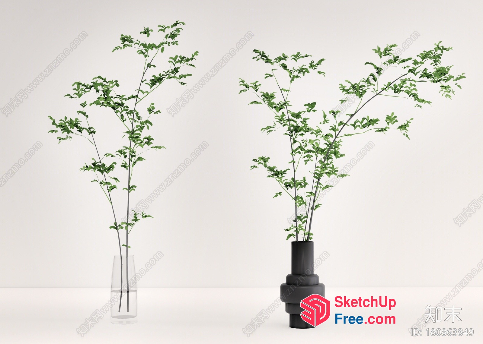 Two Green Plants In Vases 3D SketchUp File