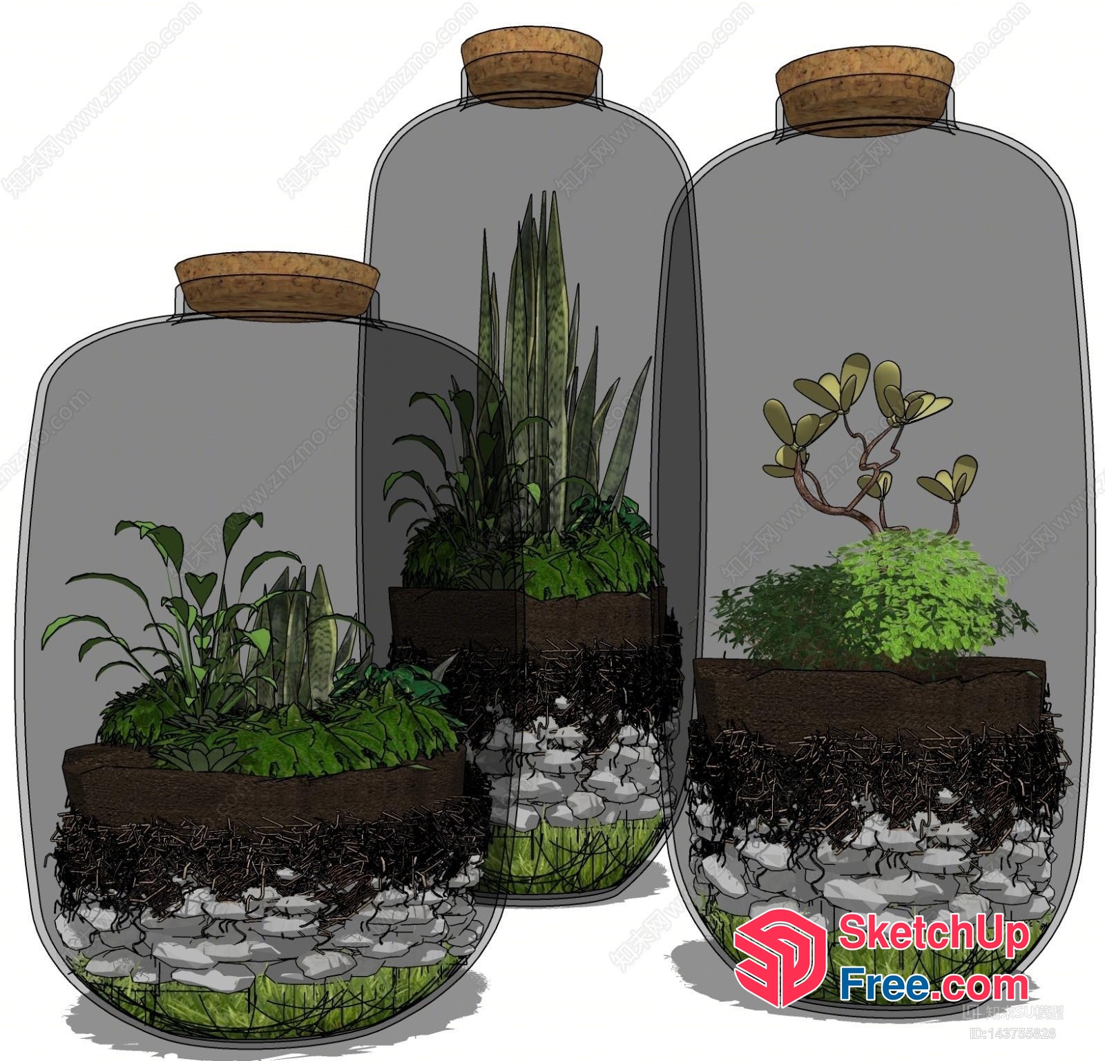 Terrariums With Various Plants And Decorations 3D SketchUp File
