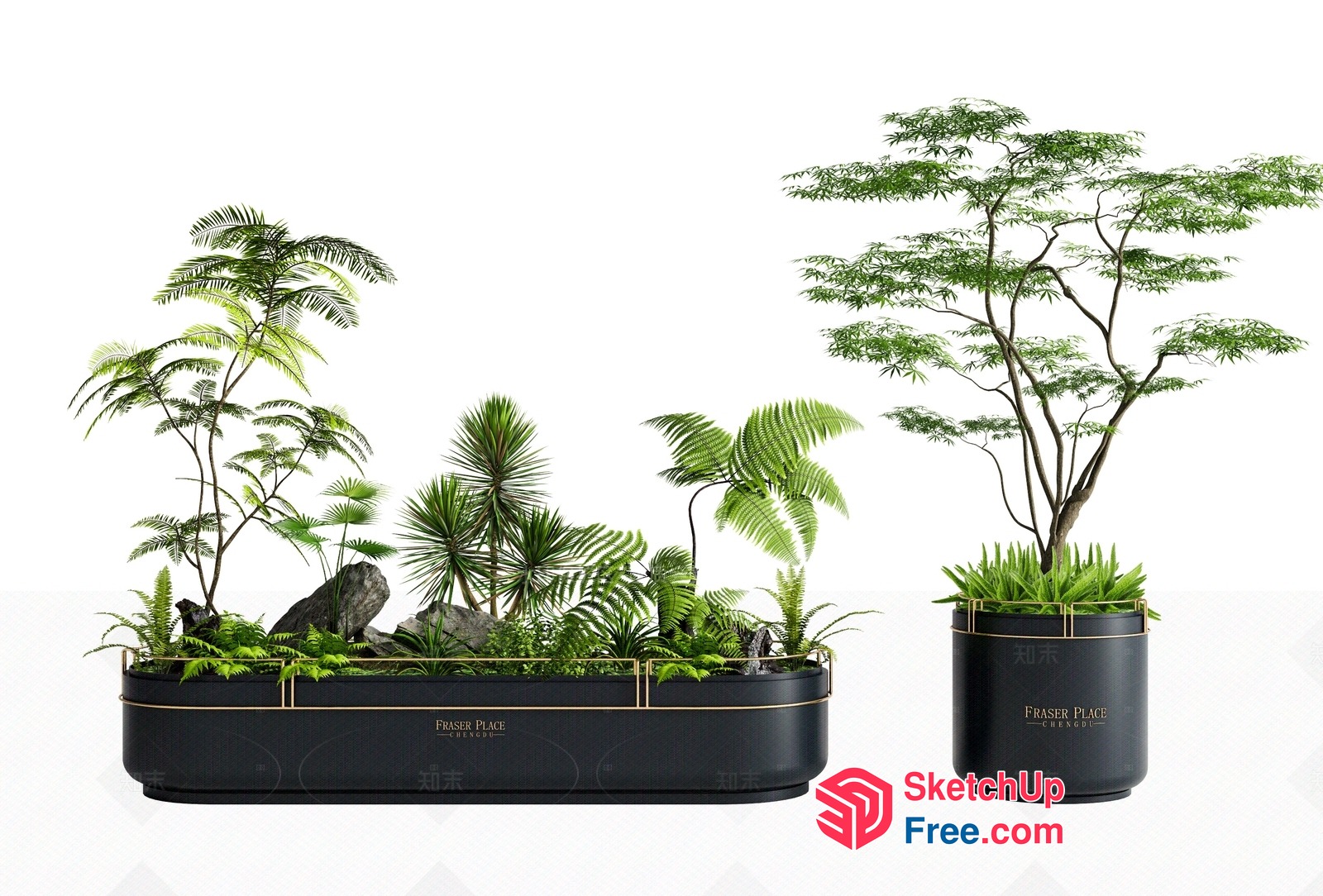 Modern And Elegant Potted Plants 3D SketchUp File