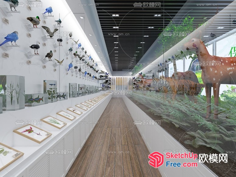 Animal And Plant Decorations In A Modern Interior 3D SketchUp File