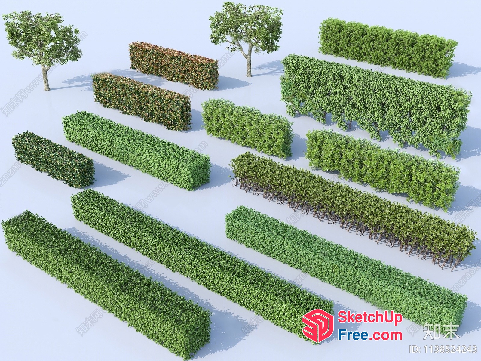 Green Outdoor Decorative Plant Hedges And Trees 3D SketchUp File