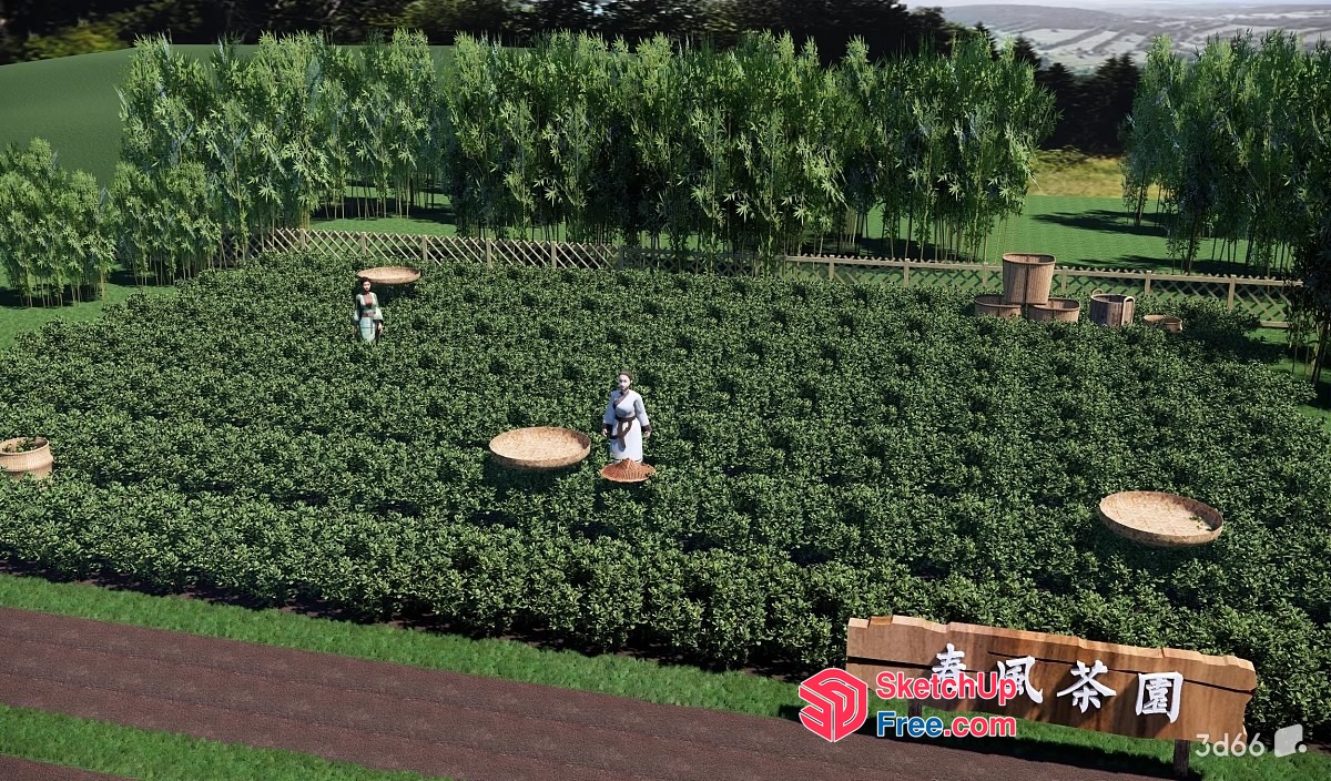 A Peaceful Tea Garden Scene 3D SketchUp File