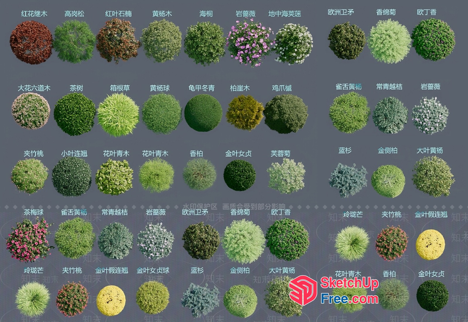 Exotic Greenery Arrangement 3D SketchUp File