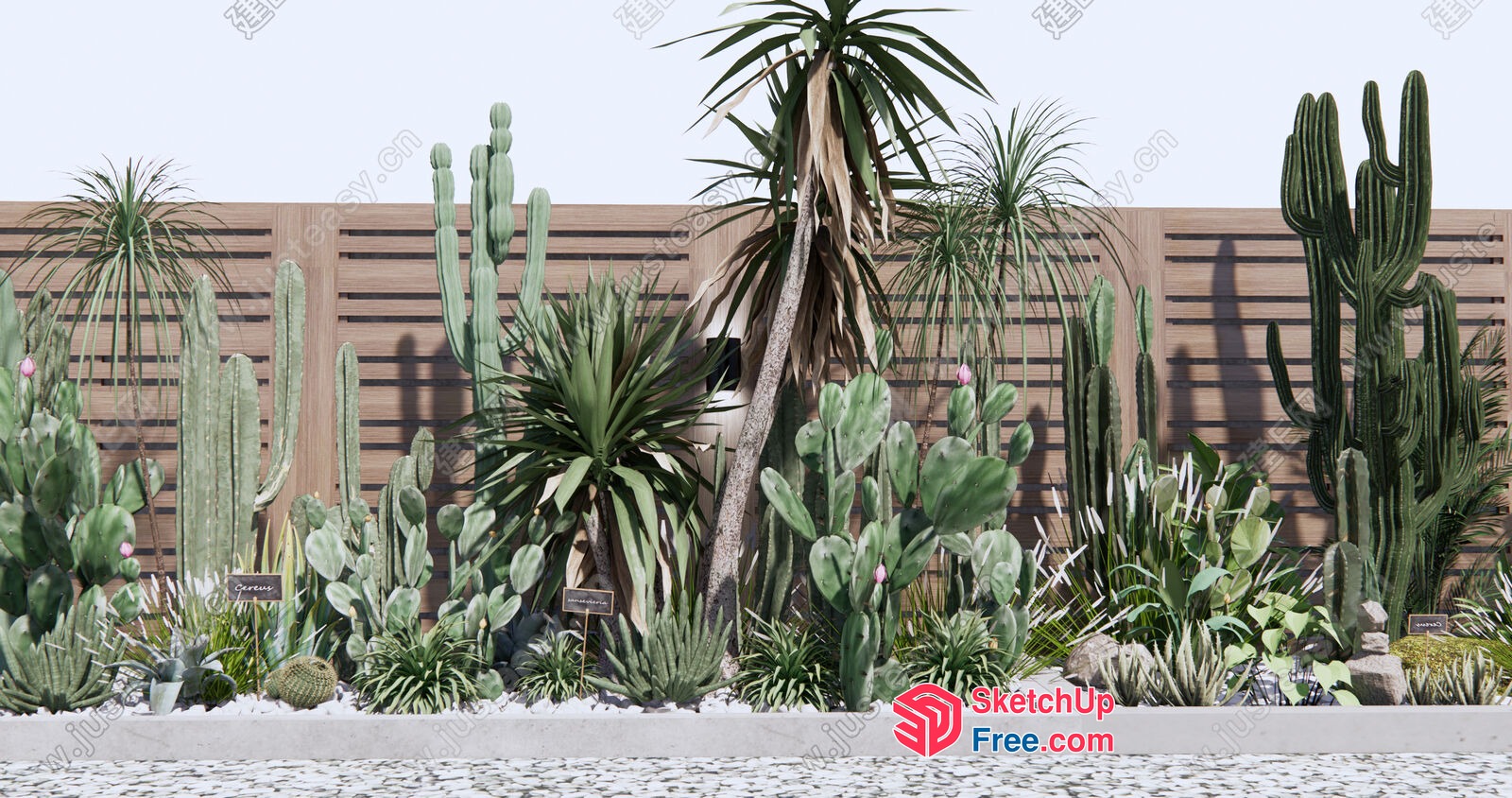 Cacti And Succulent Garden 3D SketchUp File