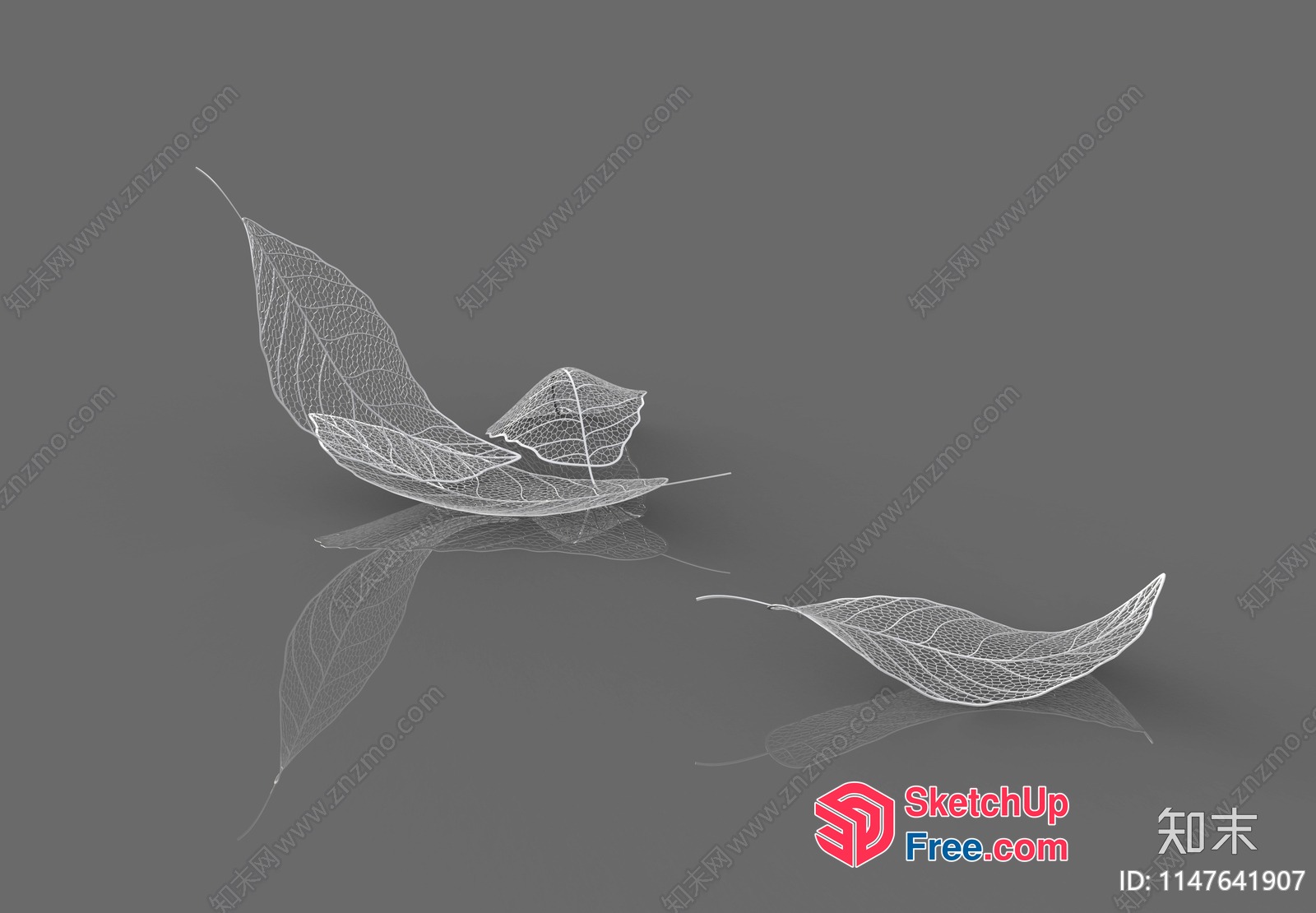 White Leaf Outline On Dark Gray Background 3D SketchUp File