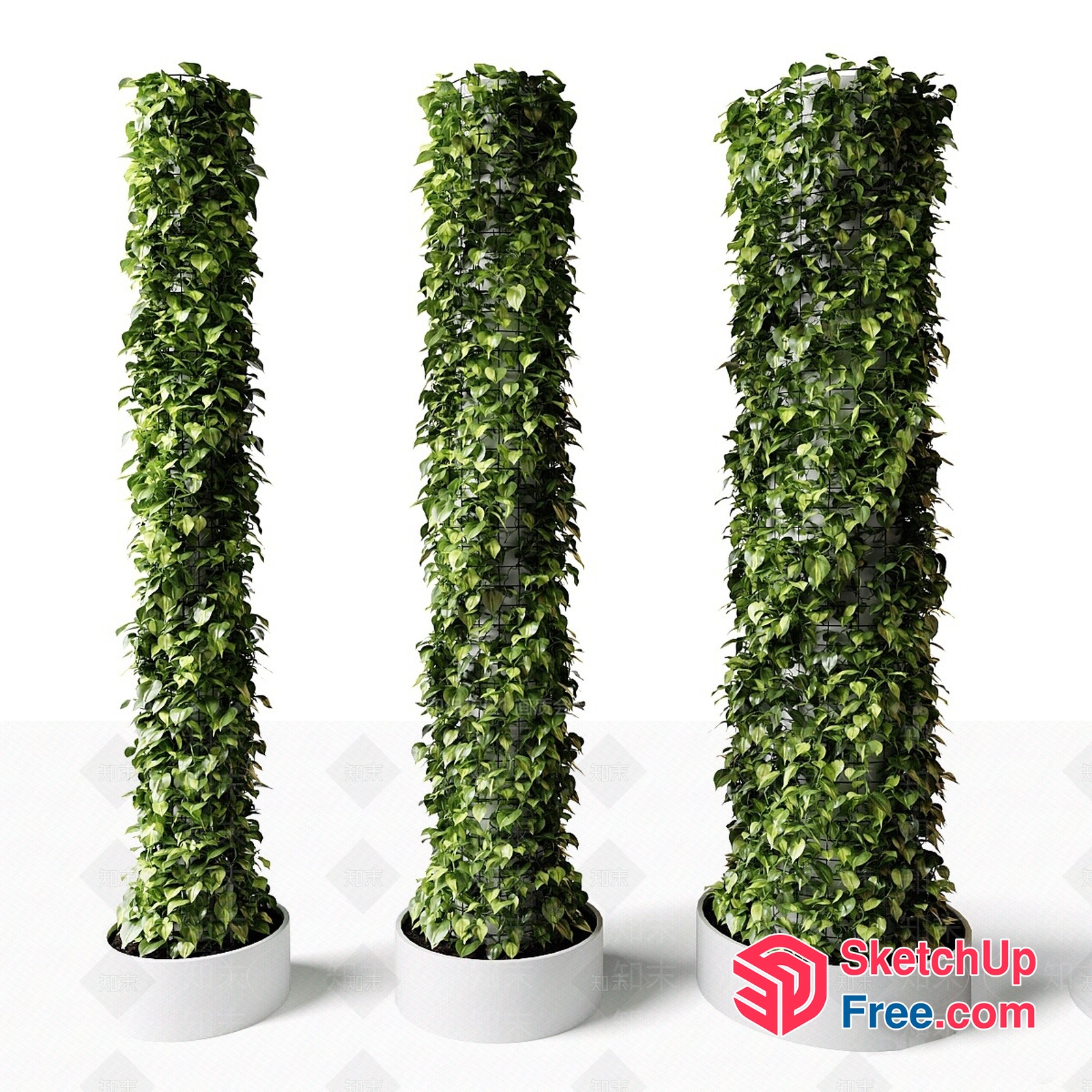 Tall Potted Plants With Green Leaves And White Pots 3D SketchUp File