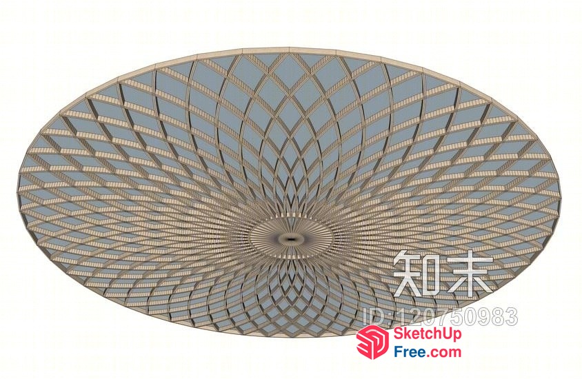 Intricate Oval Ceiling Design With Symmetrical Pattern 3D SketchUp File