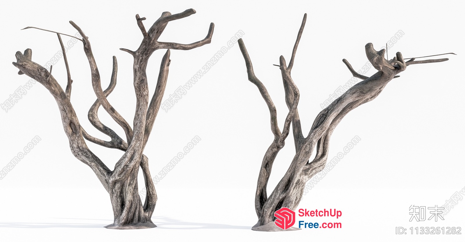 Twisted Tree Branches Against White Background 3D SketchUp File