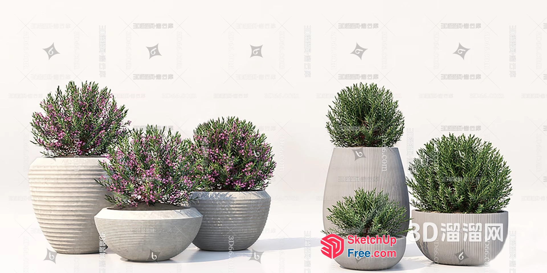 Potted Plants In Elegant White Pots 3D SketchUp File