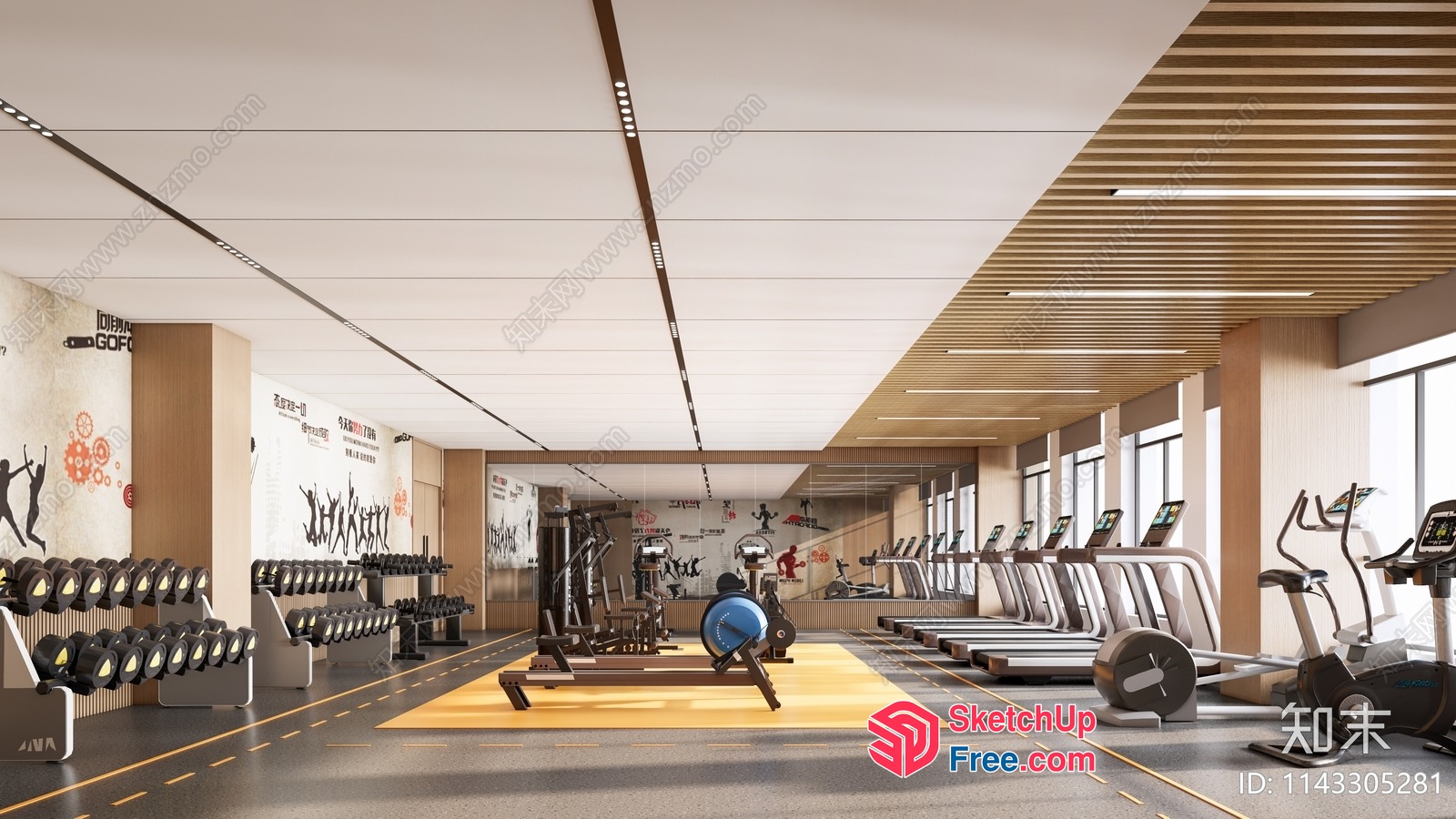 Modern Gym Interior With Fitness Equipment And Natural Light 3D SketchUp File