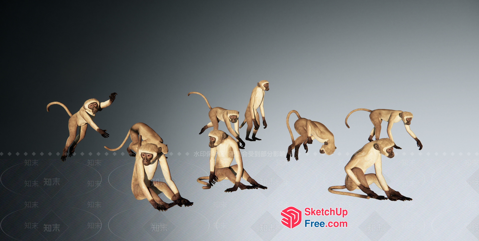 Monkeys In Various Poses 3D SketchUp File