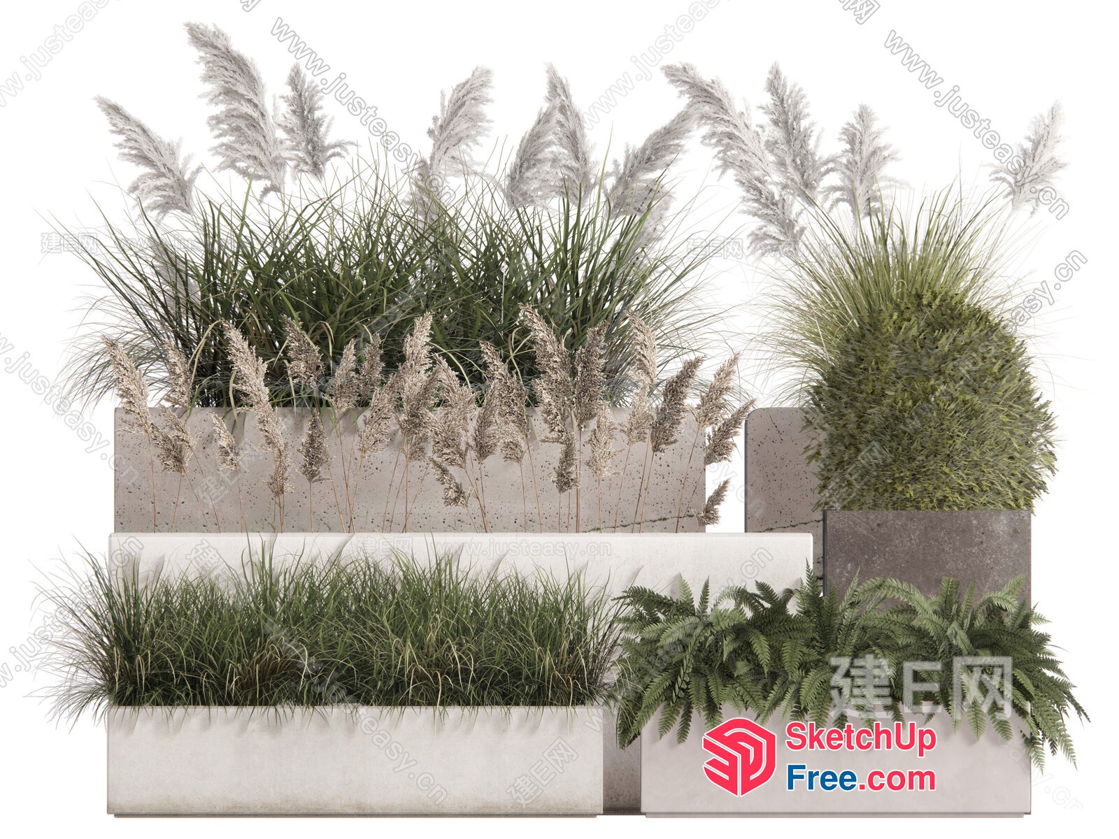 Tall Grass And Ferns In Modern Planters 3D SketchUp File