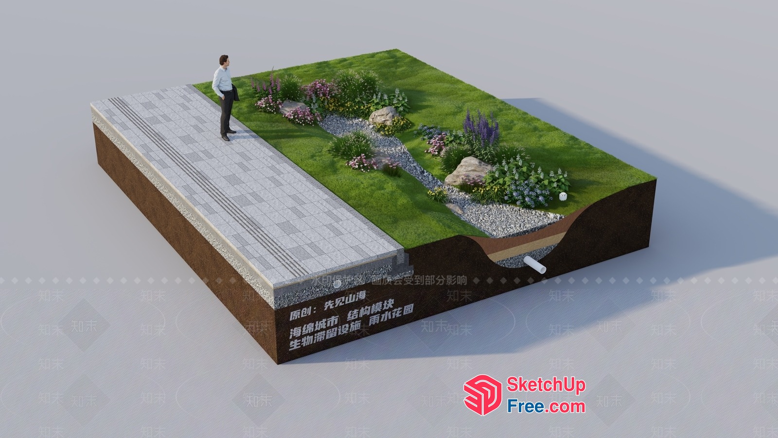 3D Model Of A Man Standing On A Paved Pathway With A Garden 3D SketchUp File