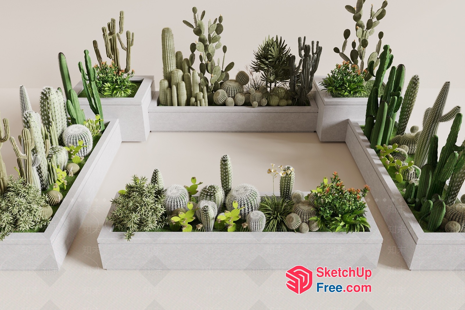 Cacti And Succulent Arrangement In White Planters 3D SketchUp File