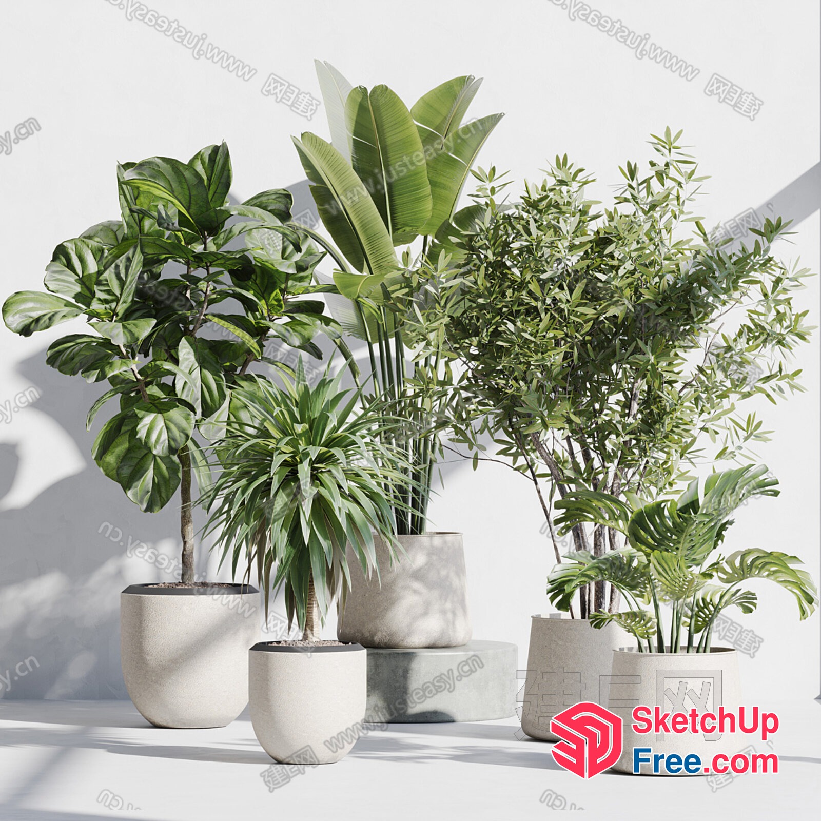Elegant And Modern Potted Plants Collection 3D SketchUp File