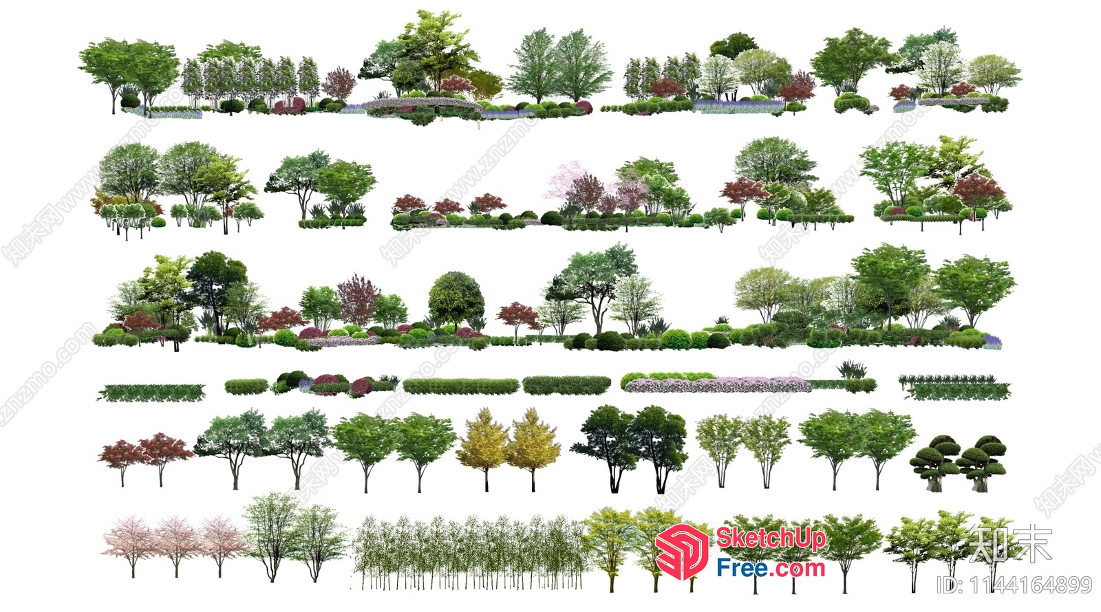 A Collection Of Trees And Plants 3D SketchUp File