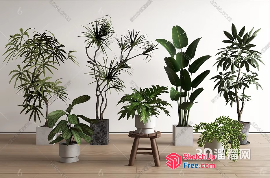 Potted Plants In Modern Living Room 3D SketchUp File