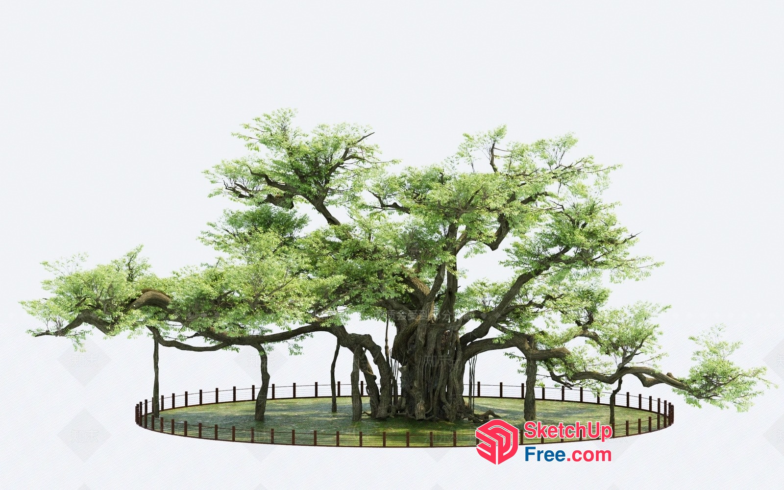 Majestic Tree Landscape 3D SketchUp File