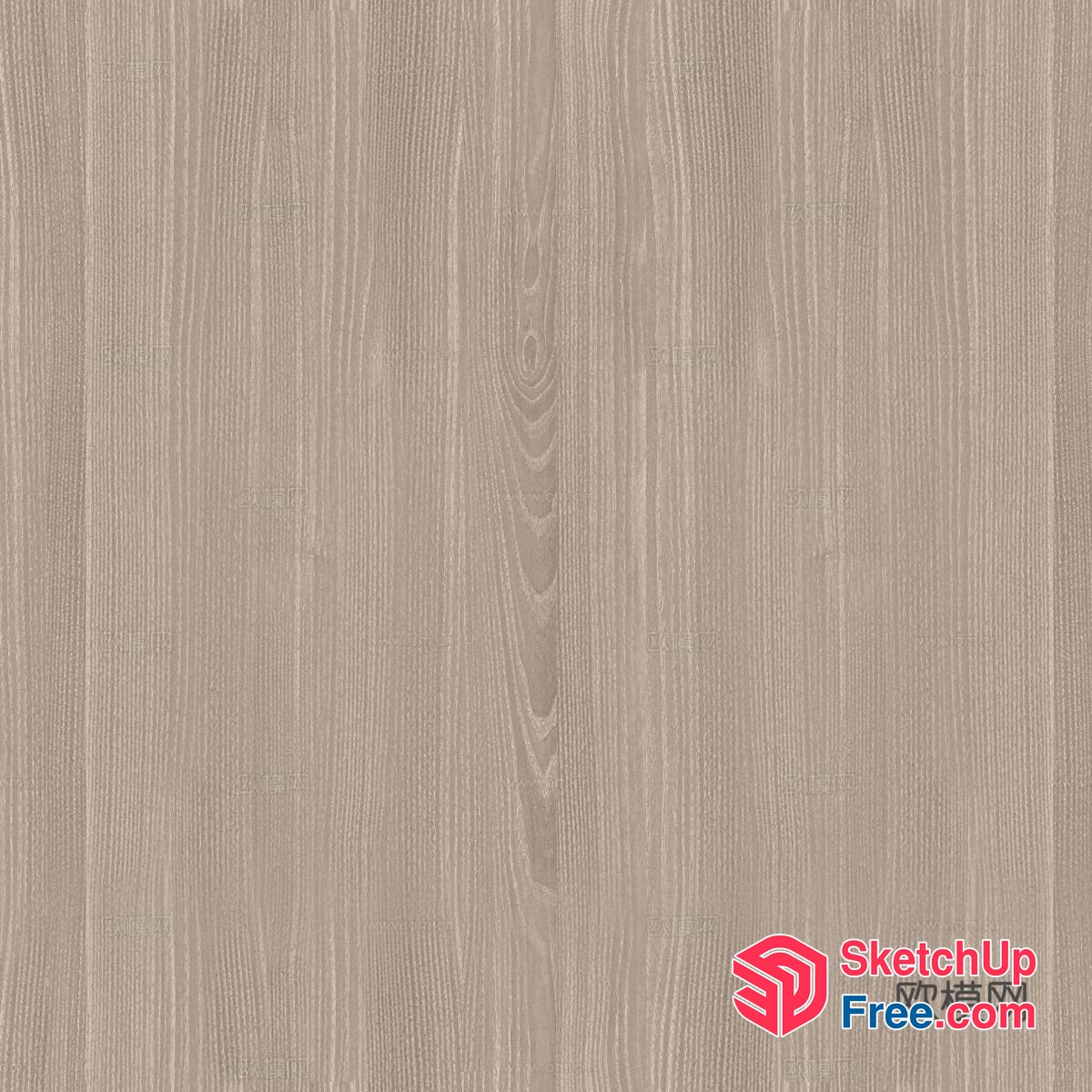 Light wood grain wood veneer