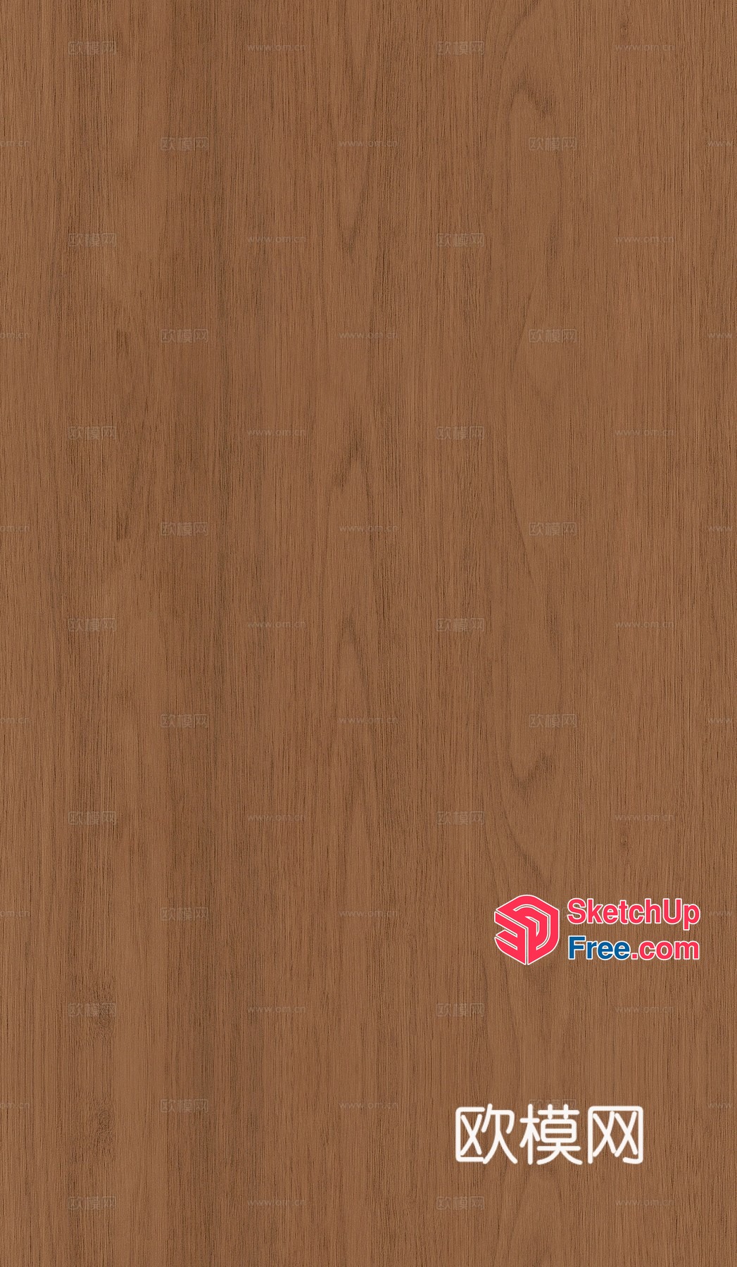 Modern medieval walnut stickers