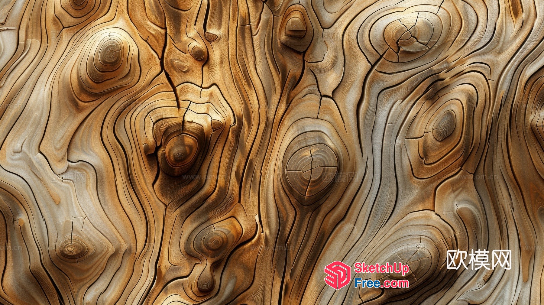Wooden texture wood