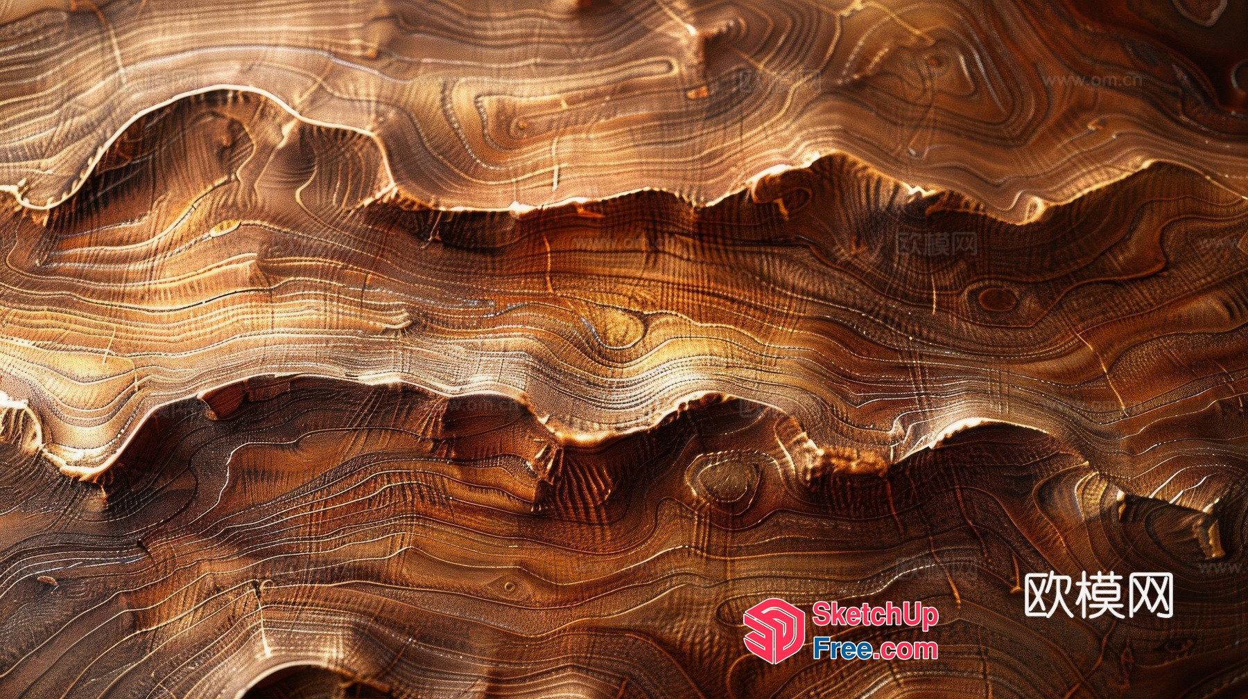 Wooden texture wood