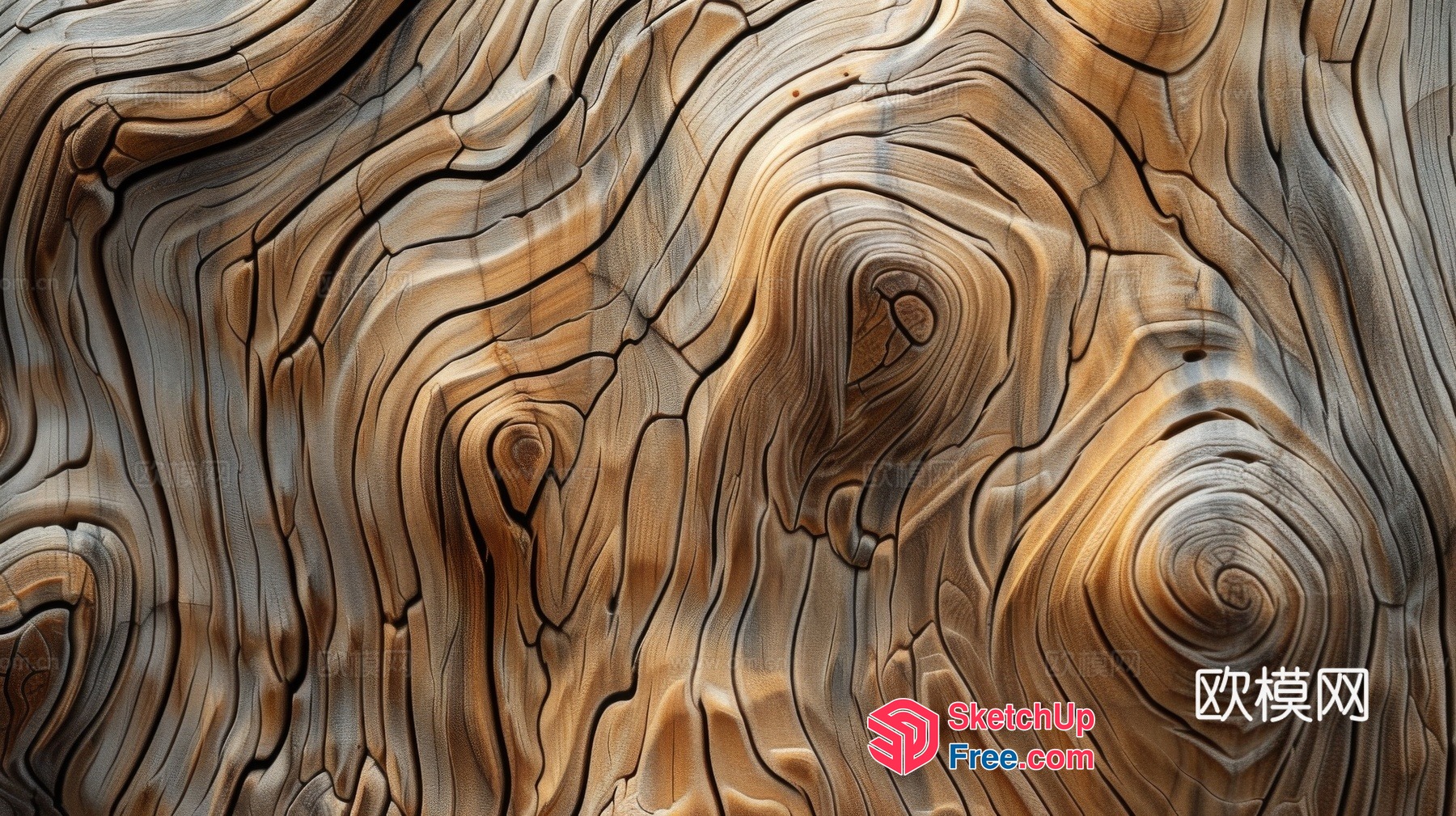 Wooden texture wood