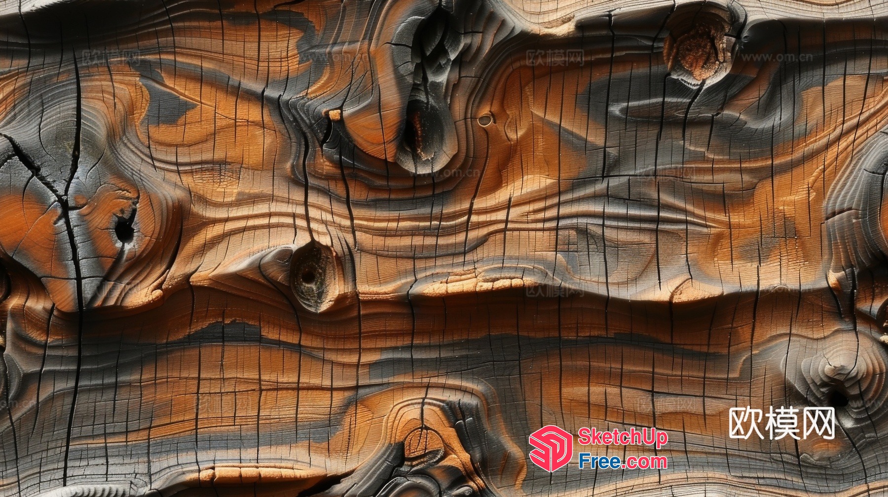 Wooden texture wood