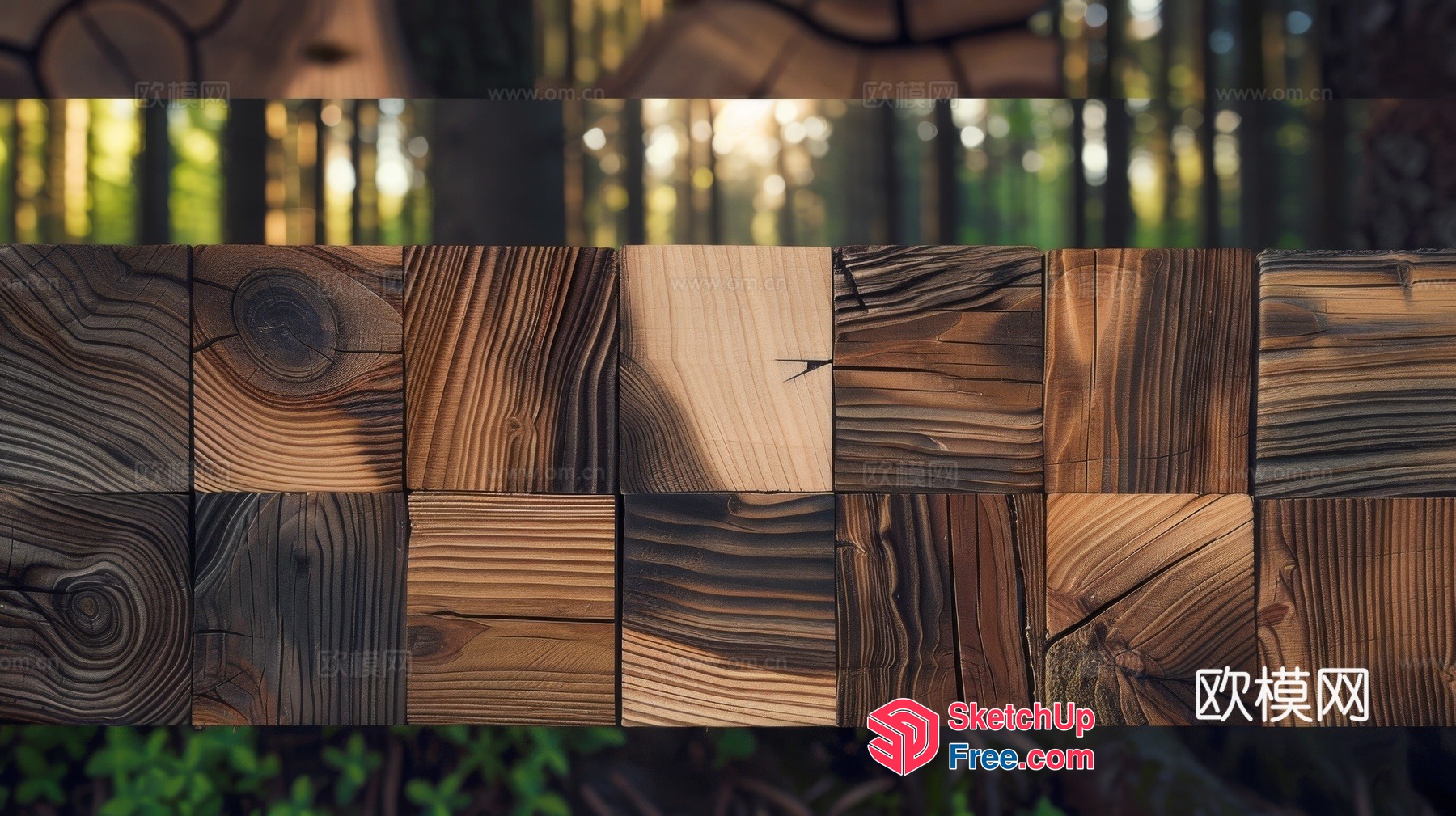 Wooden texture wood