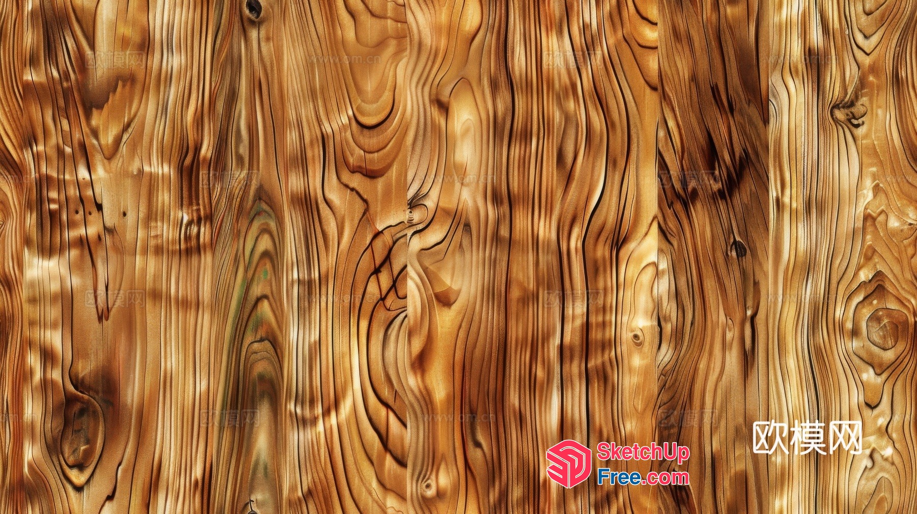 Wooden texture wood